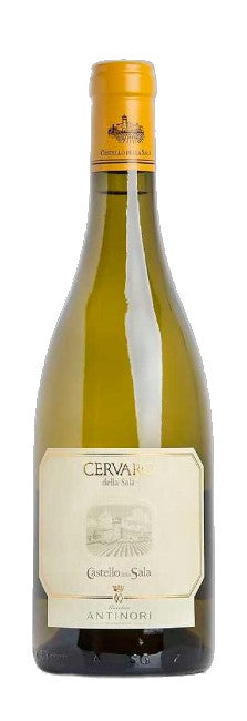Cervaro della Sala 2024 Magnum, Antinori